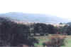 cerrisi16.jpg (30666 bytes)