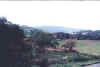 cerrisi17.jpg (27382 bytes)